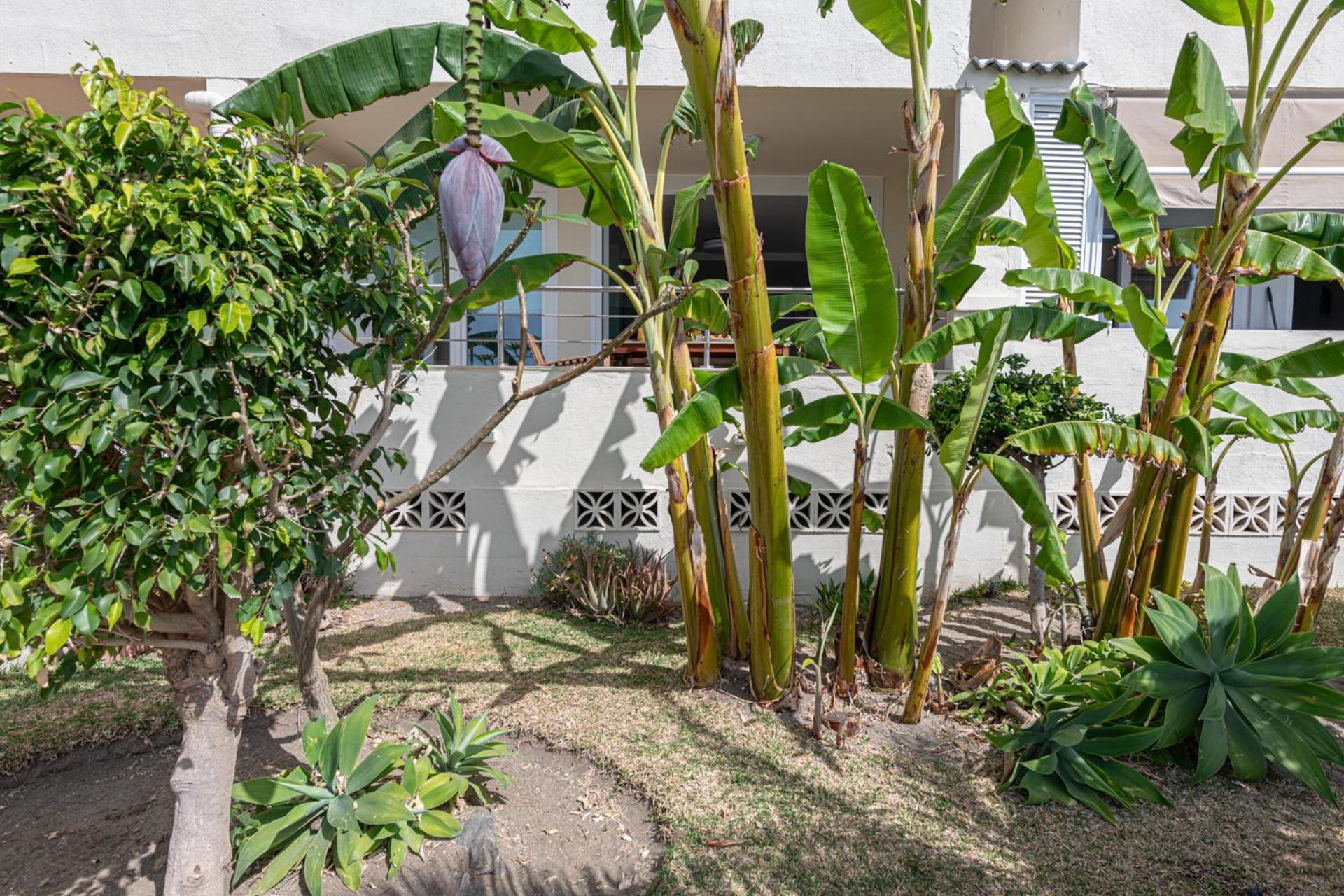Iloftmalaga La Perla - Torremuelle Appartement *